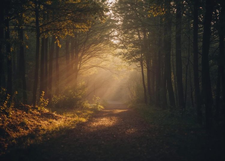 Willkommen bei Neue Wege