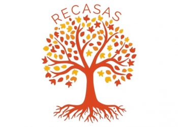 Warum der Amberbaum unser neues RECASAS-Symbol ist