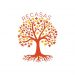 Warum der Amberbaum unser neues RECASAS-Symbol ist